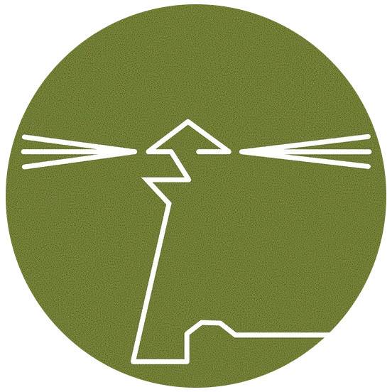 STS Rissen Logo